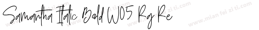 Samantha Italic Bold W05 Rg Regular字体转换